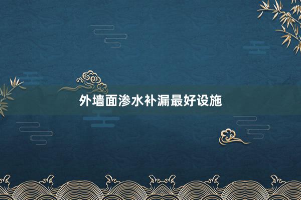 外墙面渗水补漏最好设施