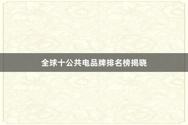 全球十公共电品牌排名榜揭晓