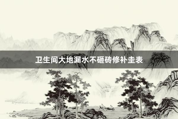 卫生间大地漏水不砸砖修补圭表