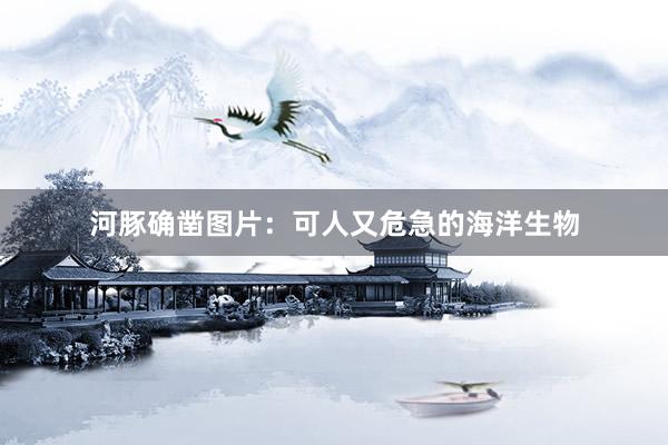 河豚确凿图片：可人又危急的海洋生物